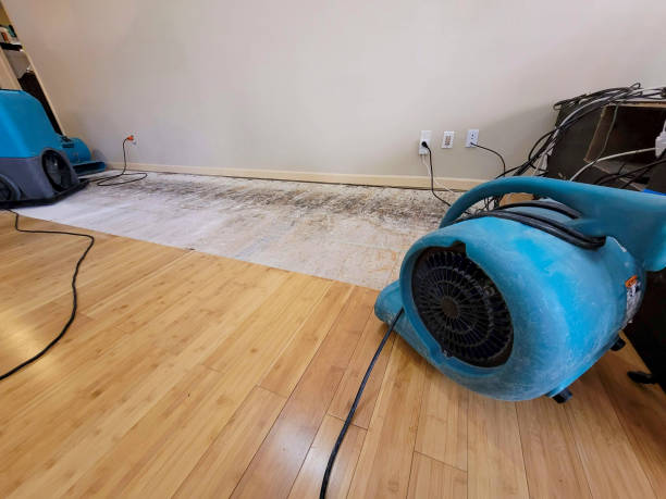 Professional Structural Drying technician working in Murray, UT